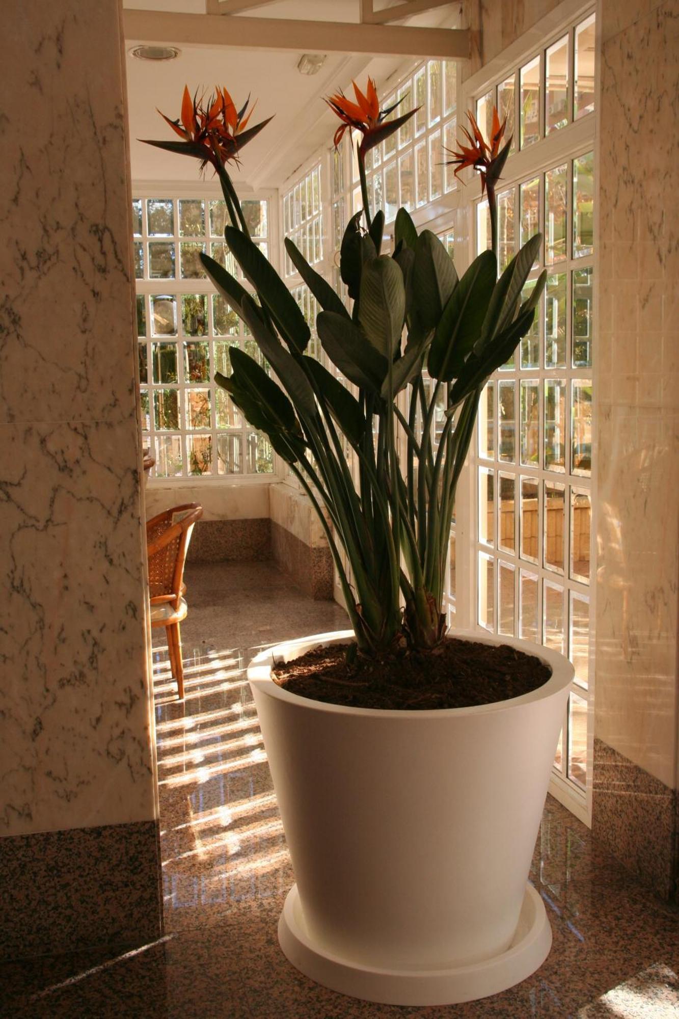 Appartement Maria Victoria *